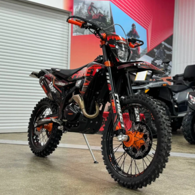 Кроссовый мотоцикл FAIDET PR300 MAX WP в Ногинске