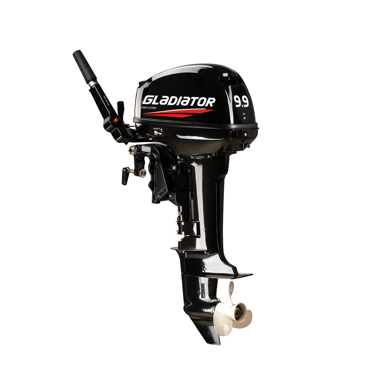 ЛОДОЧНЫЙ МОТОР GLADIATOR G9.9FHS в Ногинске