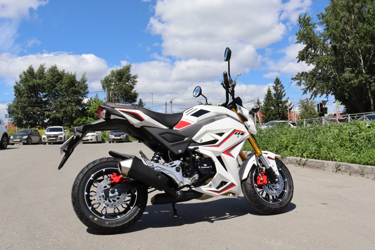 Мотоцикл PROMAX STRYKER 200(49) 2.0 в Ногинске