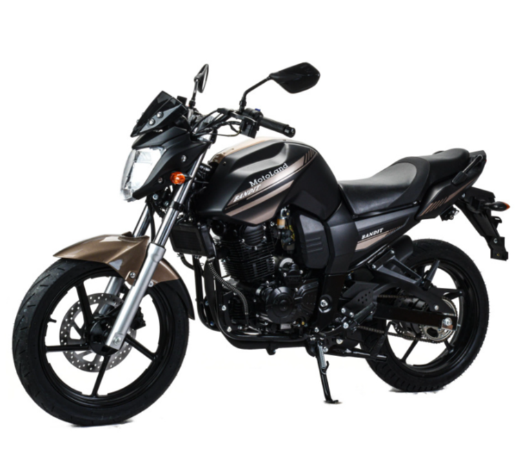 Мотоцикл MOTOLAND (МОТОЛЕНД) 300 BANDIT в Ногинске