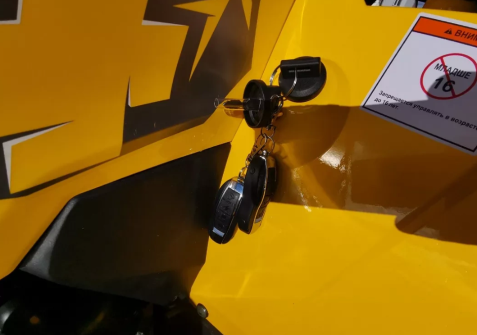 Квадроцикл MOTOLAND (МОТОЛЕНД) VOX200 WILD TRACK X PRO (баланс. вал) в Ногинске