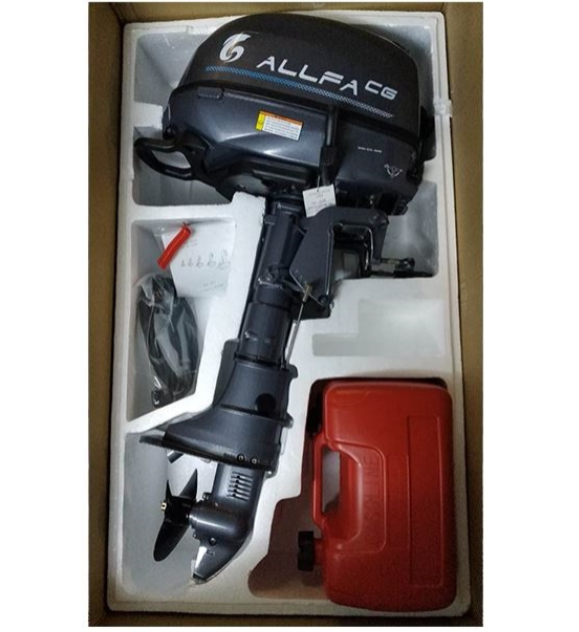 Лодочный мотор ALLFA CG F6 в Ногинске