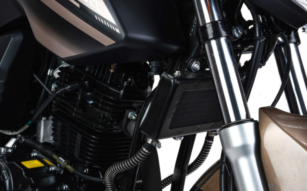 Мотоцикл MOTOLAND (МОТОЛЕНД) 300 BANDIT в Ногинске