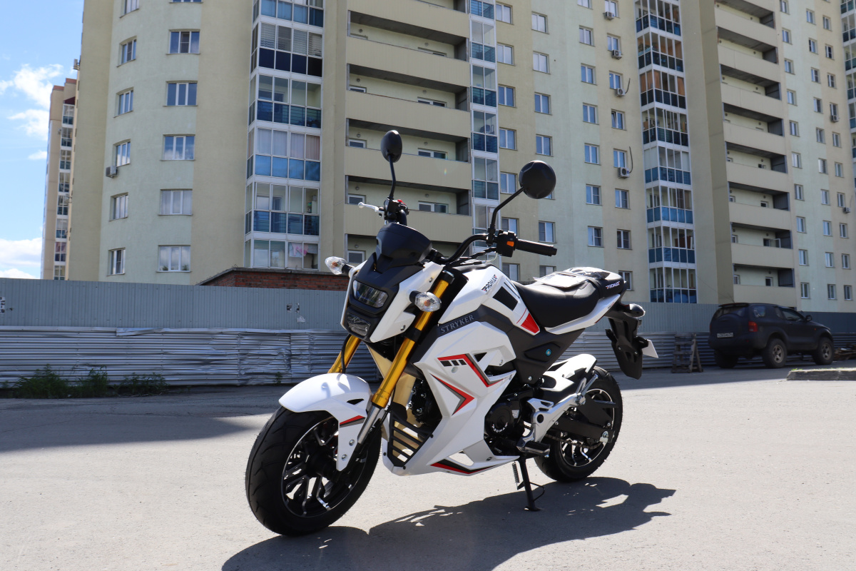 Мотоцикл PROMAX STRYKER 200(49) 2.0 в Ногинске