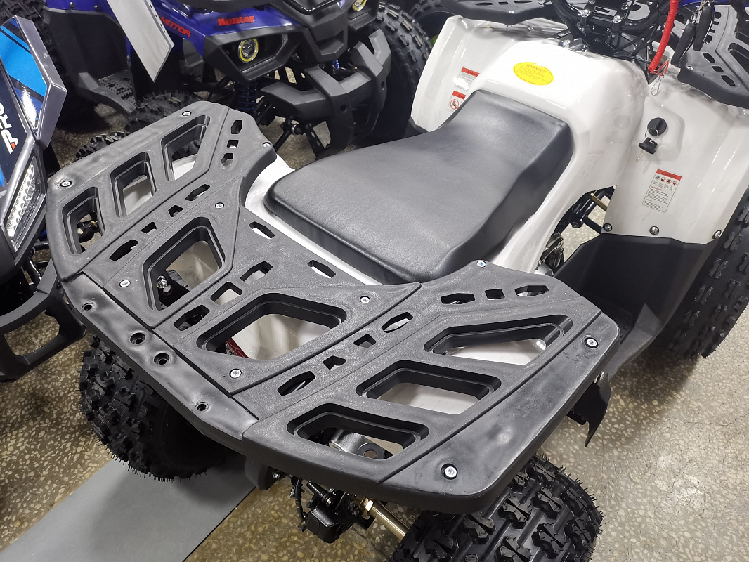 Квадроцикл PROMAX WILD 175 LUX в Ногинске