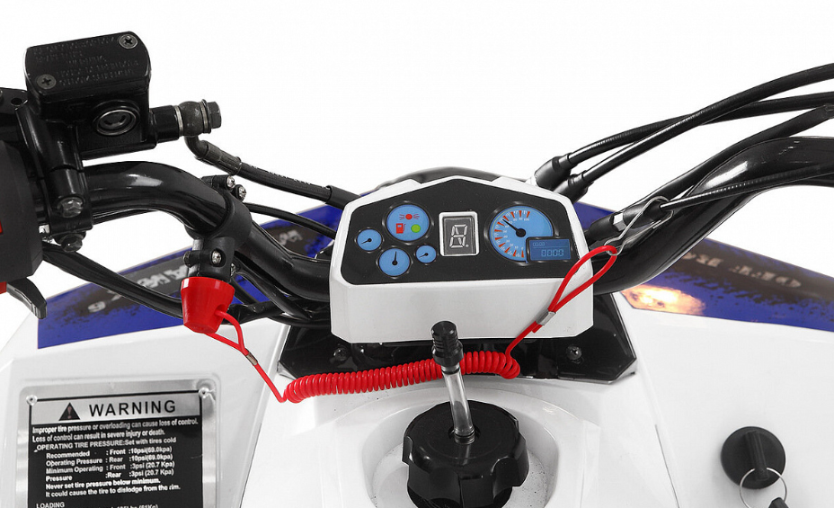 Квадроцикл Yacota Raposa PRO-SPORT в Ногинске