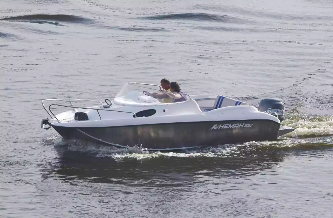 Комбинированный катер Neman-530 с каютой в Ногинске