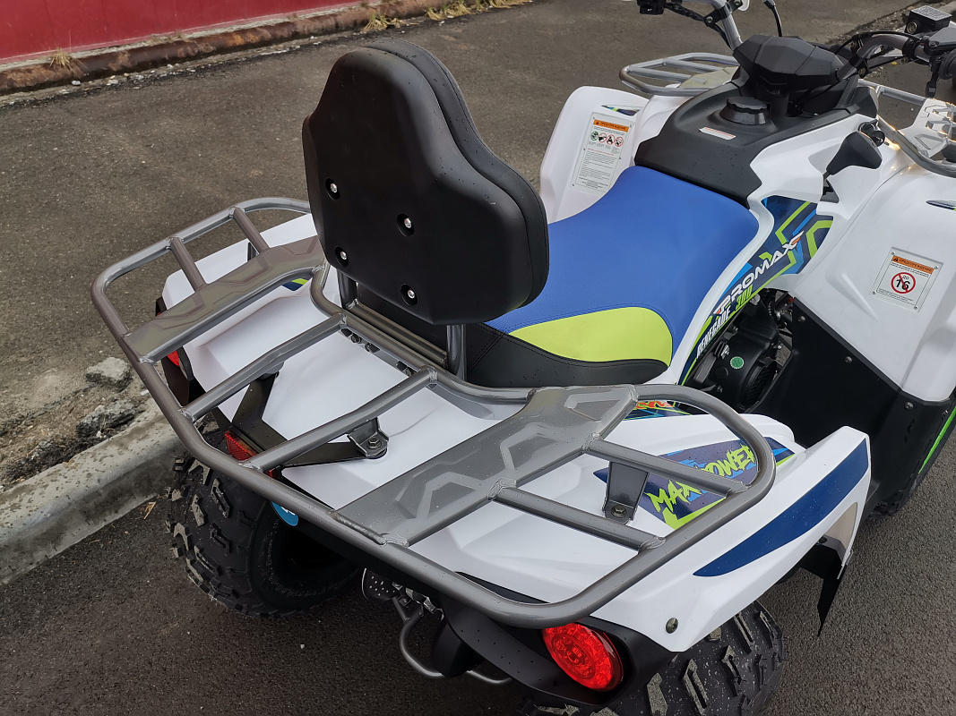 Квадроцикл PROMAX RENEGADE 280 LUX (2025) в Ногинске
