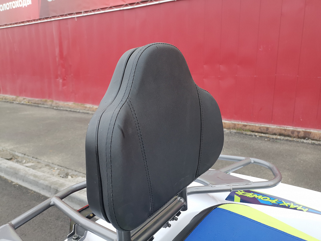 Квадроцикл PROMAX RENEGADE 280 LUX (2025) в Ногинске