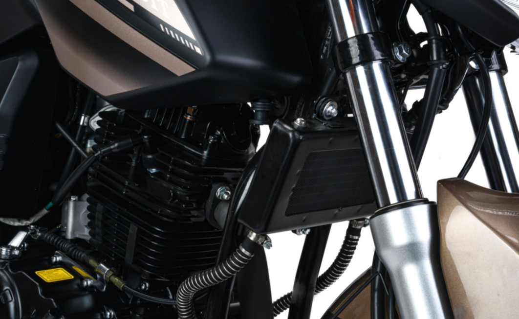 Мотоцикл MOTOLAND (МОТОЛЕНД) 300 BANDIT в Ногинске