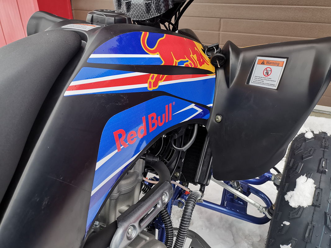 Квадроцикл PROMAX RAPTOR 300 NEW RedBull в Ногинске