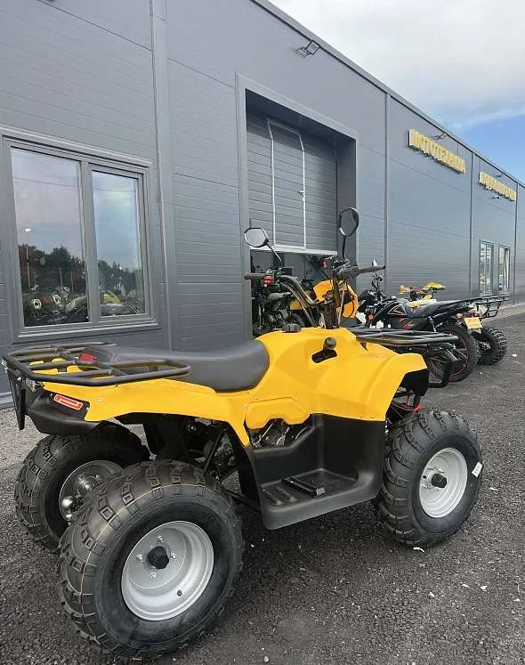 КВАДРОЦИКЛ IRBIS ATV 250  в Ногинске
