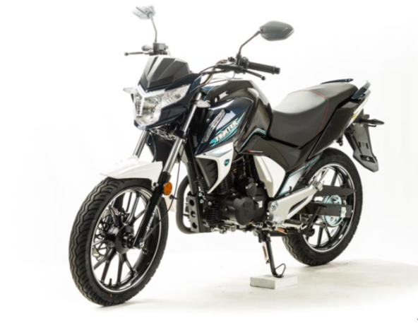 Мотоцикл MOTOLAND (МОТОЛЕНД) FIGHTER 250 в Ногинске