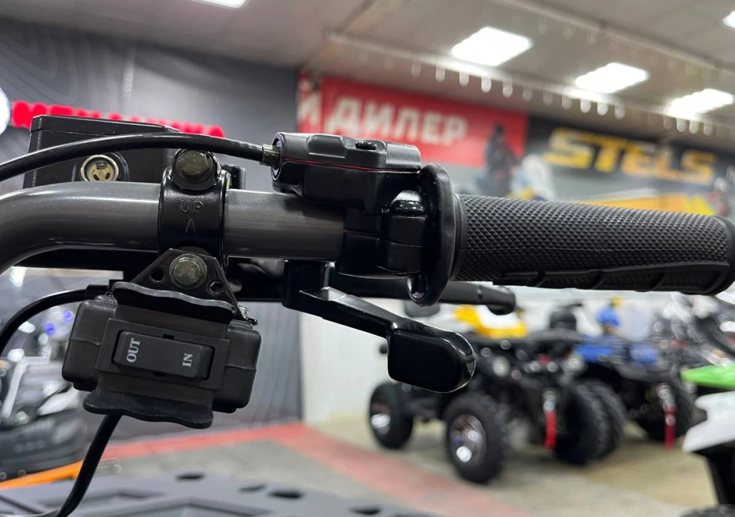 Квадроцикл PROMAX RENEGADE 300 LONG WINCH PRO (2025) в Ногинске