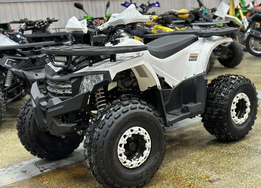 Квадроцикл PROMAX WILD 2.0 190 в Ногинске