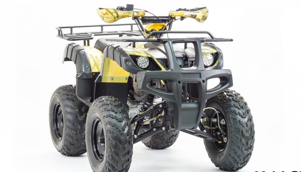 Квадроцикл MOTOLAND (МОТОЛЕНД) 250 ADVENTURE в Ногинске