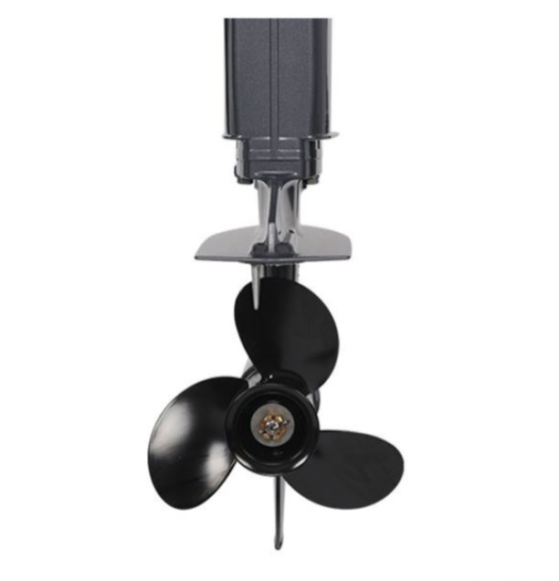 Лодочный мотор ALLFA CG Т40FW S в Ногинске