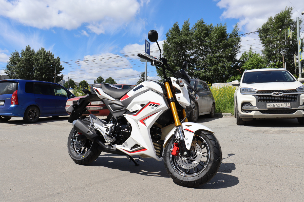 Мотоцикл PROMAX STRYKER 200(49) 2.0 в Ногинске