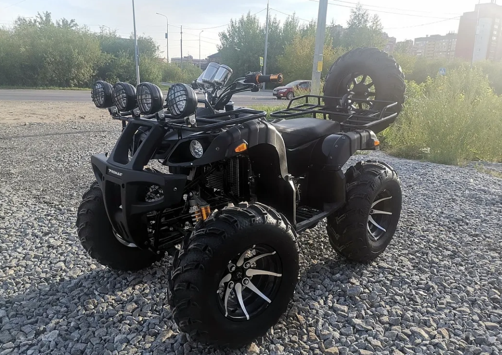 Квадроцикл PROMAX LEO 300 Max (кардан) в Ногинске