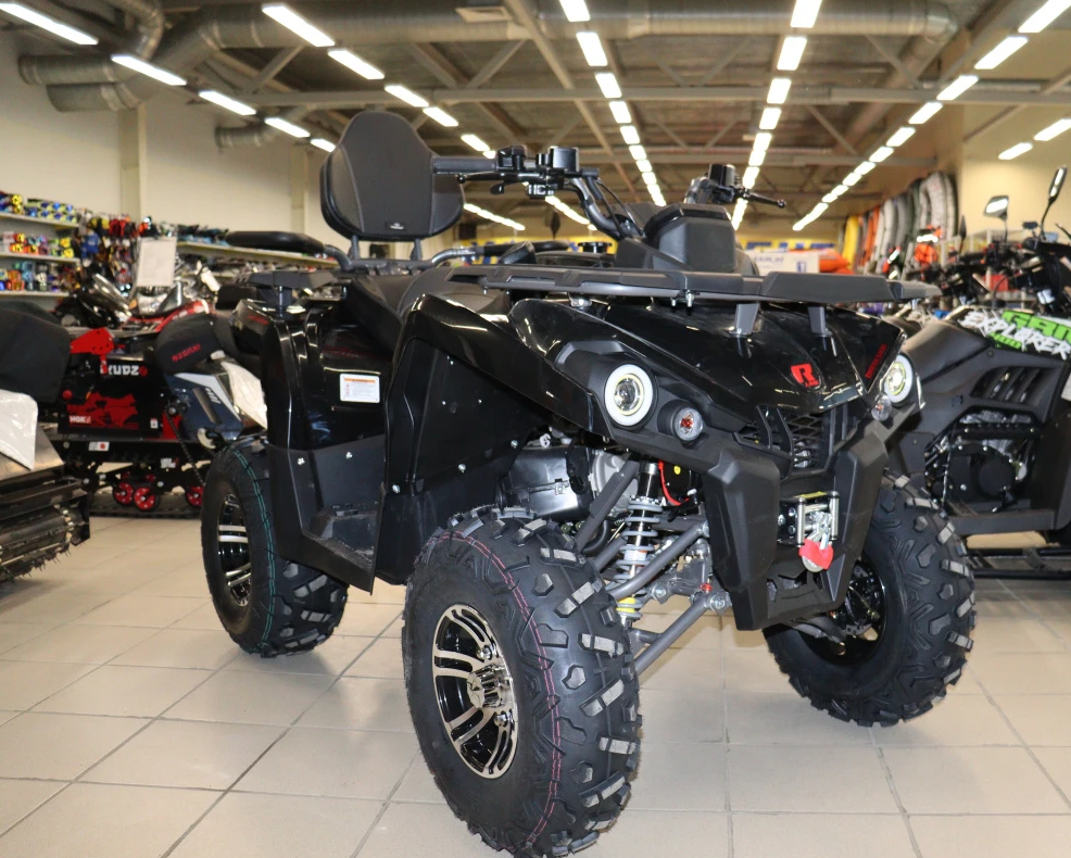 Квадроцикл PROMAX RENEGADE 300 LONG WINCH PRO (2025) в Ногинске