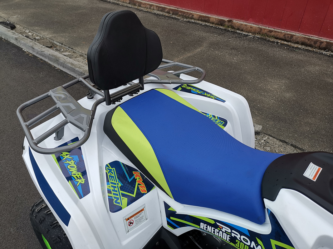 Квадроцикл PROMAX RENEGADE 280 LUX (2025) в Ногинске