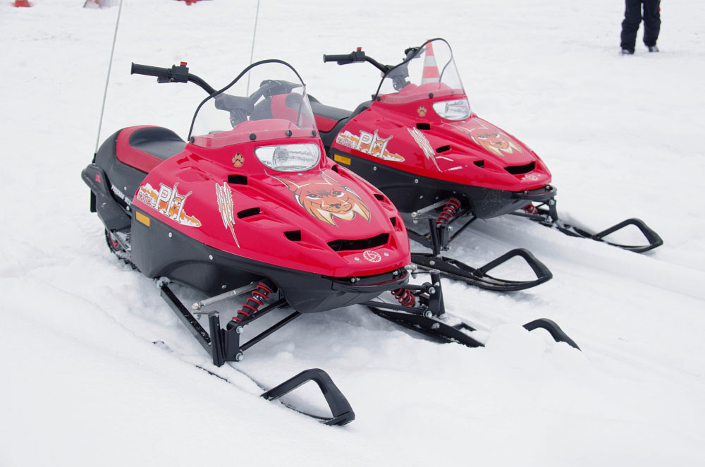 Снегоход РМ ТАЙГА РЫСЬ в Ногинске