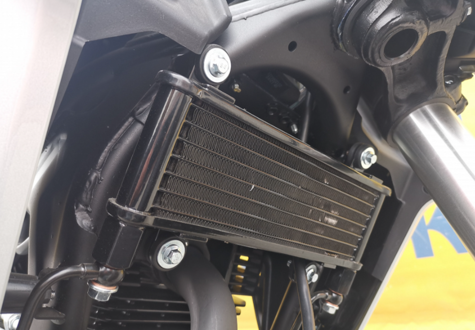 Мотоцикл MOTOLAND (МОТОЛЕНД) 250 CB250 (172FMM-5/PR250) (2022 г.) в Ногинске