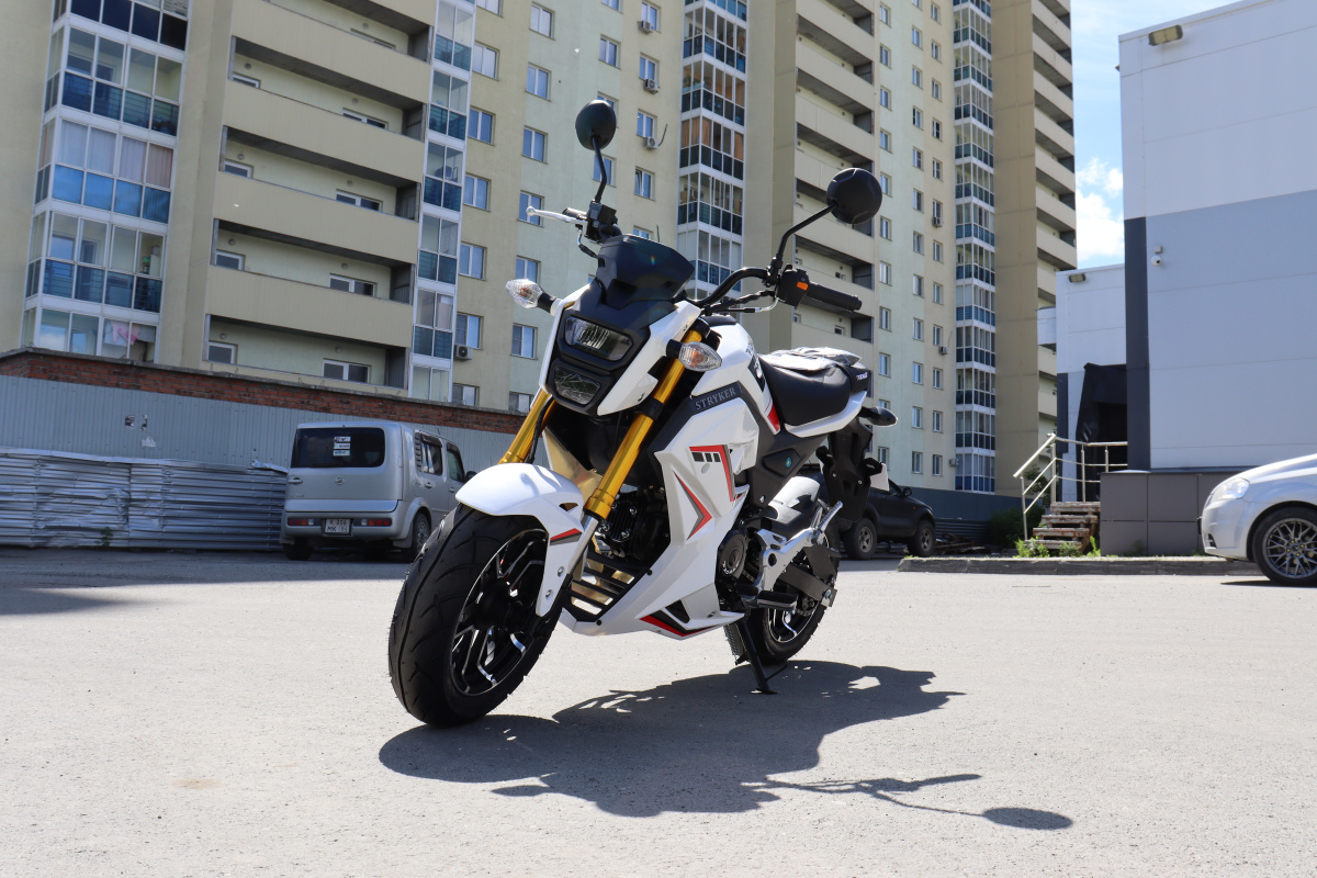 Мотоцикл PROMAX STRYKER 200(49) 2.0 в Ногинске