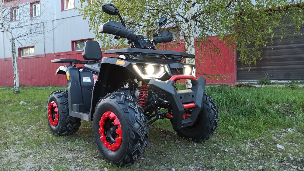 Квадроцикл PROMAX WILD 300 LUX (2024) в Ногинске