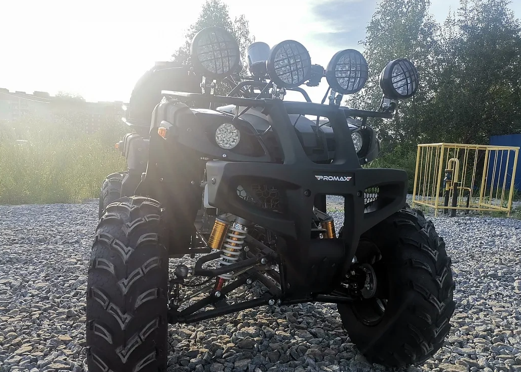 Квадроцикл PROMAX LEO 300 Max (кардан) в Ногинске