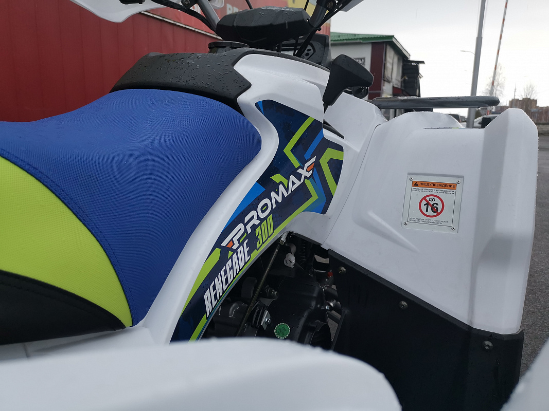 Квадроцикл PROMAX RENEGADE 280 LUX (2025) в Ногинске