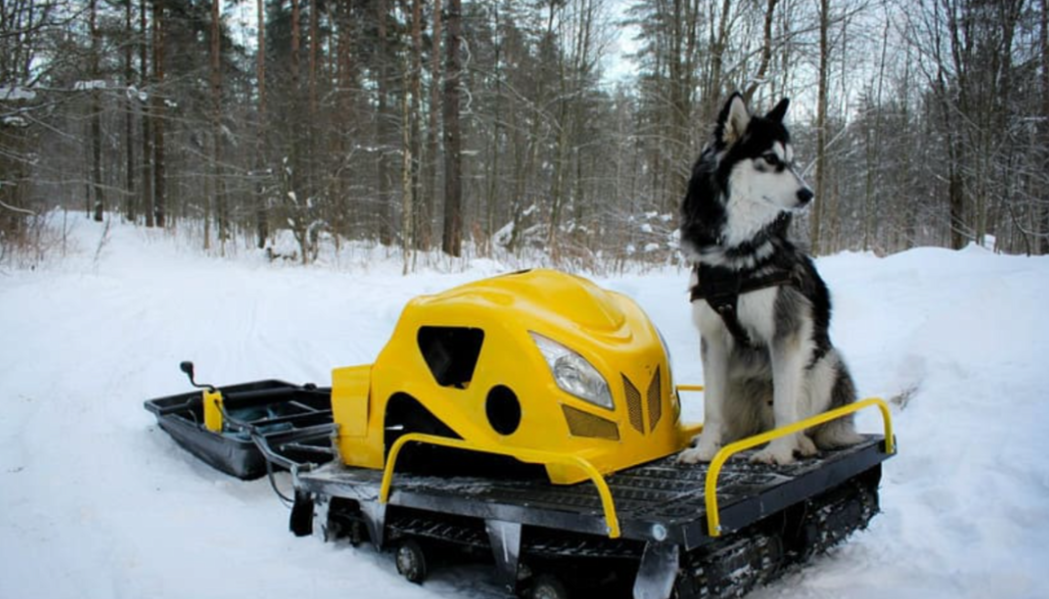 Мотобуксировщик LEBEDEV MOTORS ВОЛКОДАВ POWER V13 в Ногинске