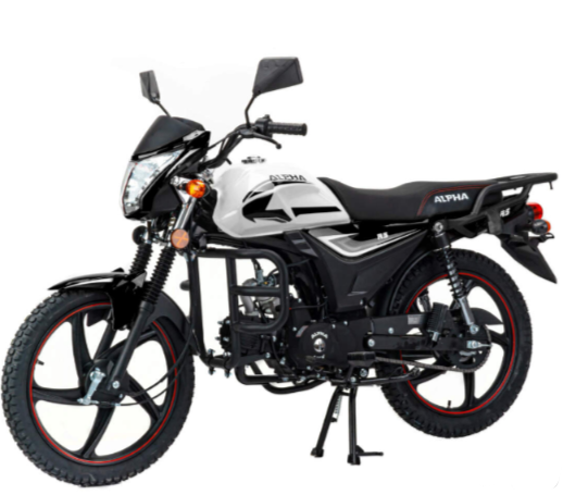 Мопед MOTOLAND (МОТОЛЕНД) Альфа RS 11 (LM48-B) в Ногинске