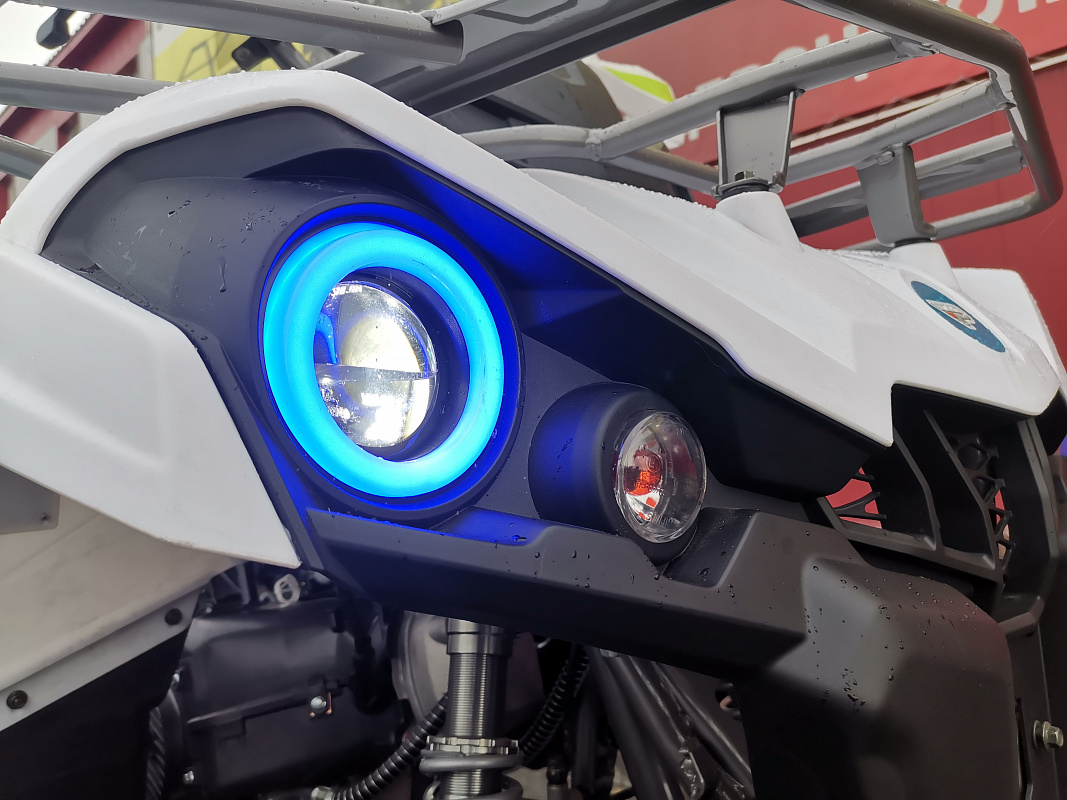 Квадроцикл PROMAX RENEGADE 280 LUX (2025) в Ногинске