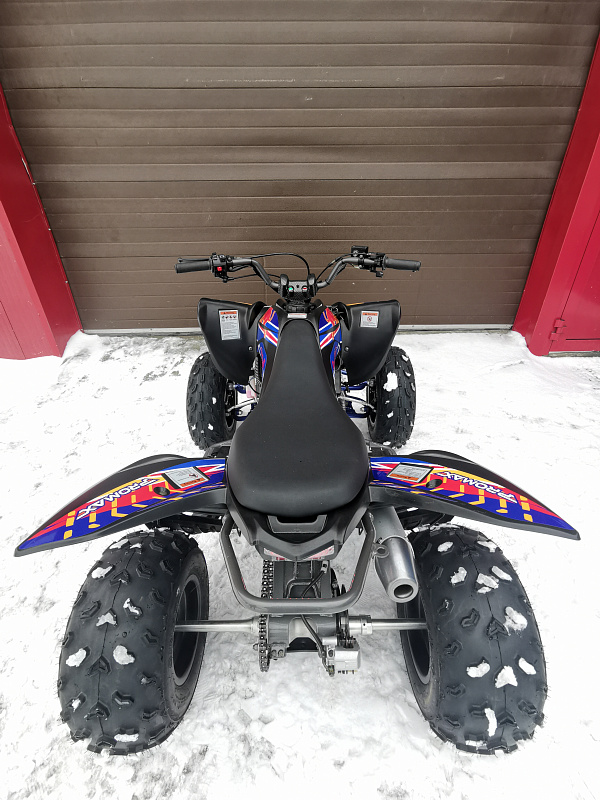 Квадроцикл PROMAX RAPTOR 300 NEW RedBull в Ногинске