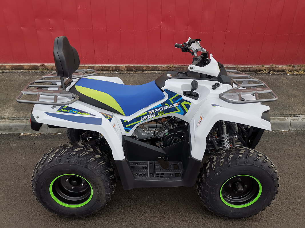 Квадроцикл PROMAX RENEGADE 280 LUX (2025) в Ногинске