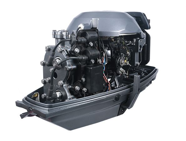 ЛОДОЧНЫЙ МОТОР ALLFA CG T30 FW S в Ногинске