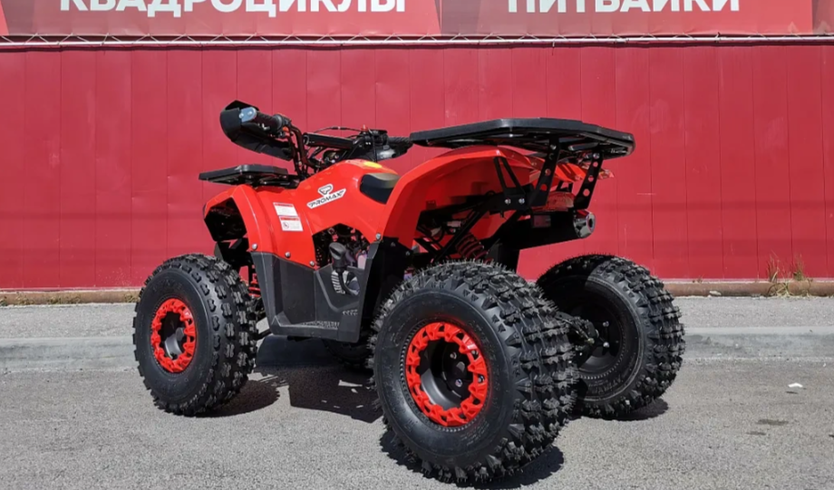 Квадроцикл PROMAX WILD 175 BASIC в Ногинске