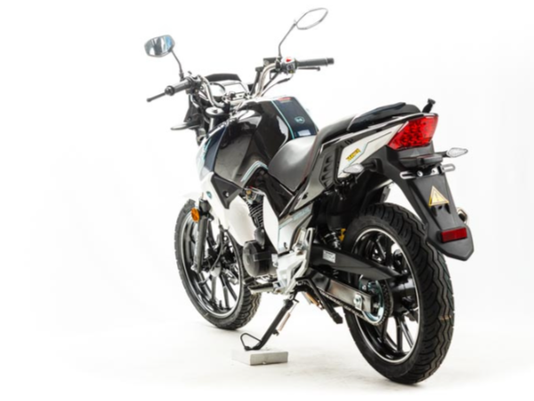 Мотоцикл MOTOLAND (МОТОЛЕНД) FIGHTER 250 в Ногинске