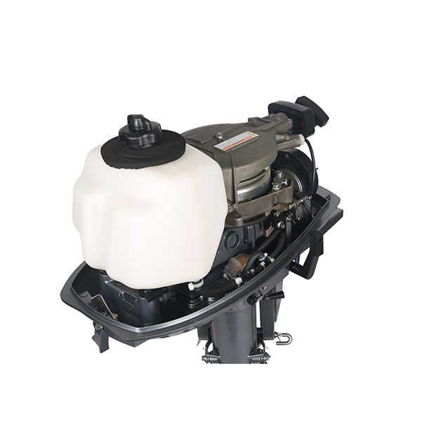 ЛОДОЧНЫЙ МОТОР ALLFA CG T5 в Ногинске