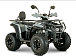 Квадроцикл YACOTA DRAGON LUX LD 150 PRO-SPORT в Ногинске