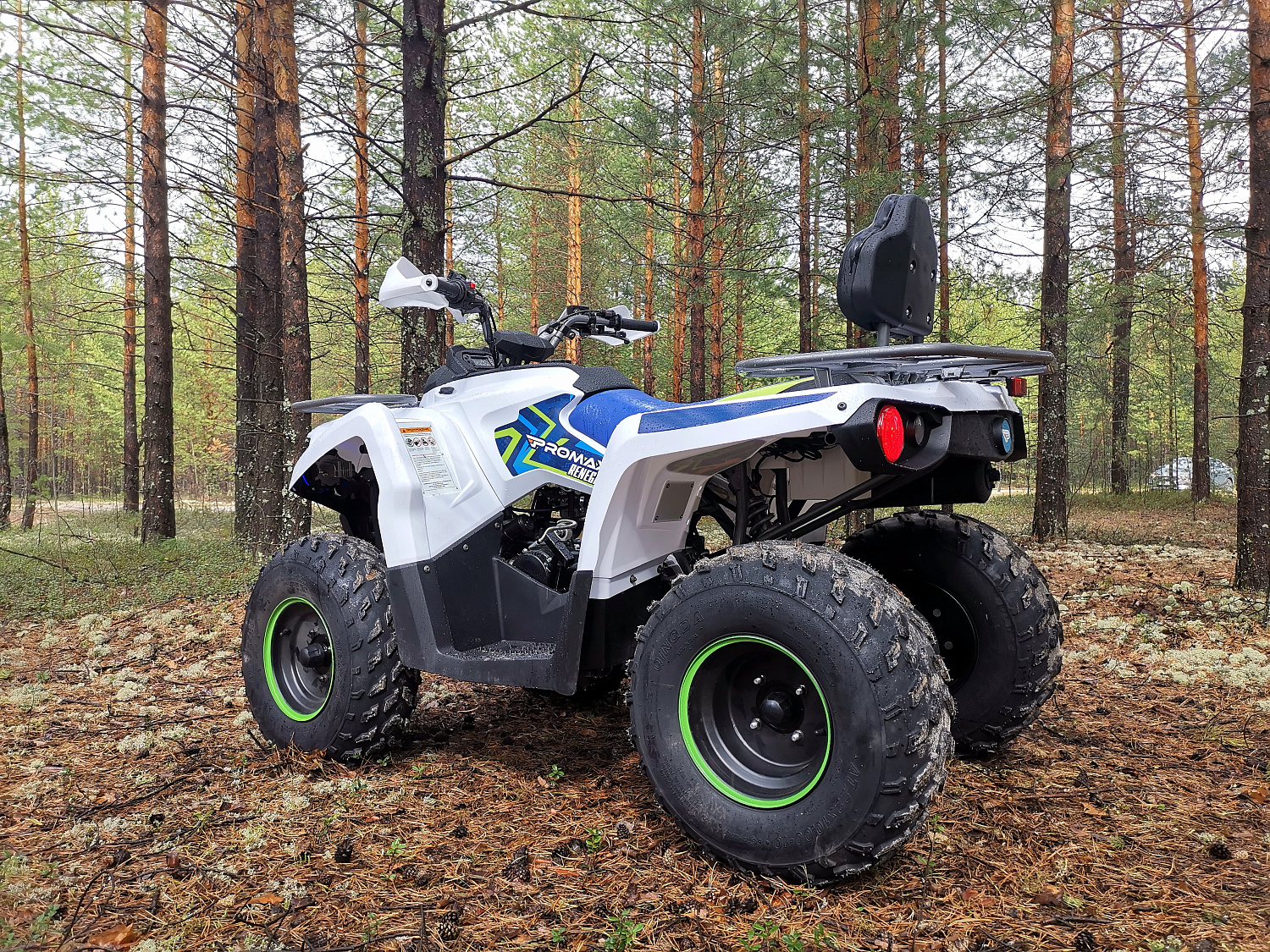 Квадроцикл PROMAX RENEGADE 280 (2025) в Ногинске