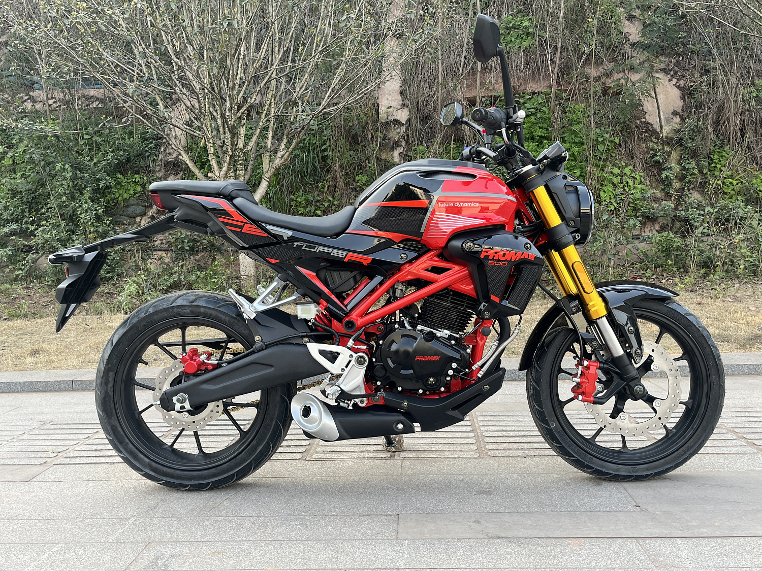 Мотоцикл PROMAX CB300 в Ногинске