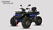 Квадроцикл PROMAX TAURUS 300 MAX-PRO LONG в Ногинске