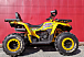 Квадроцикл PROMAX STORM 280 LUX в Ногинске