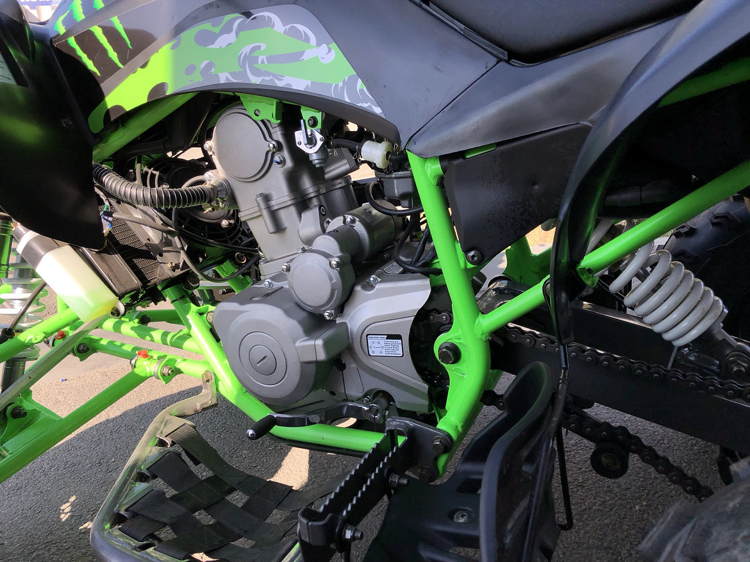 Квадроцикл PROMAX RAPTOR 300 NEW Monster в Ногинске