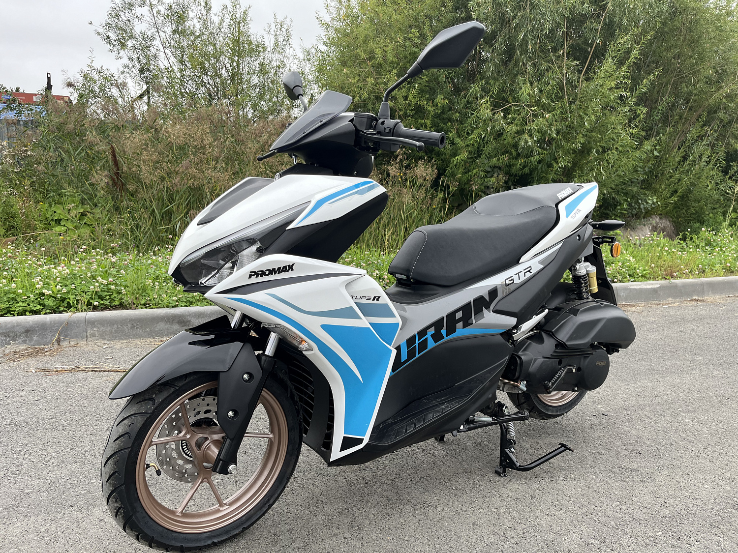 Скутер PROMAX TURAN 250 (49) в Ногинске