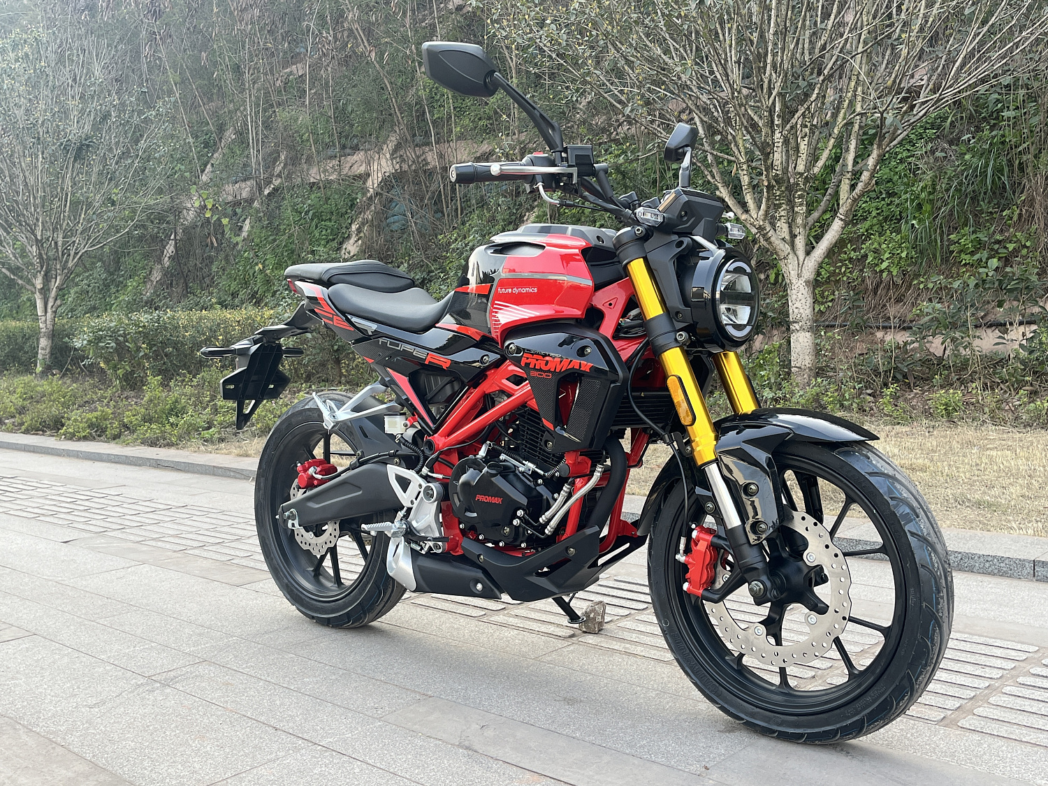 Мотоцикл PROMAX CB300 в Ногинске