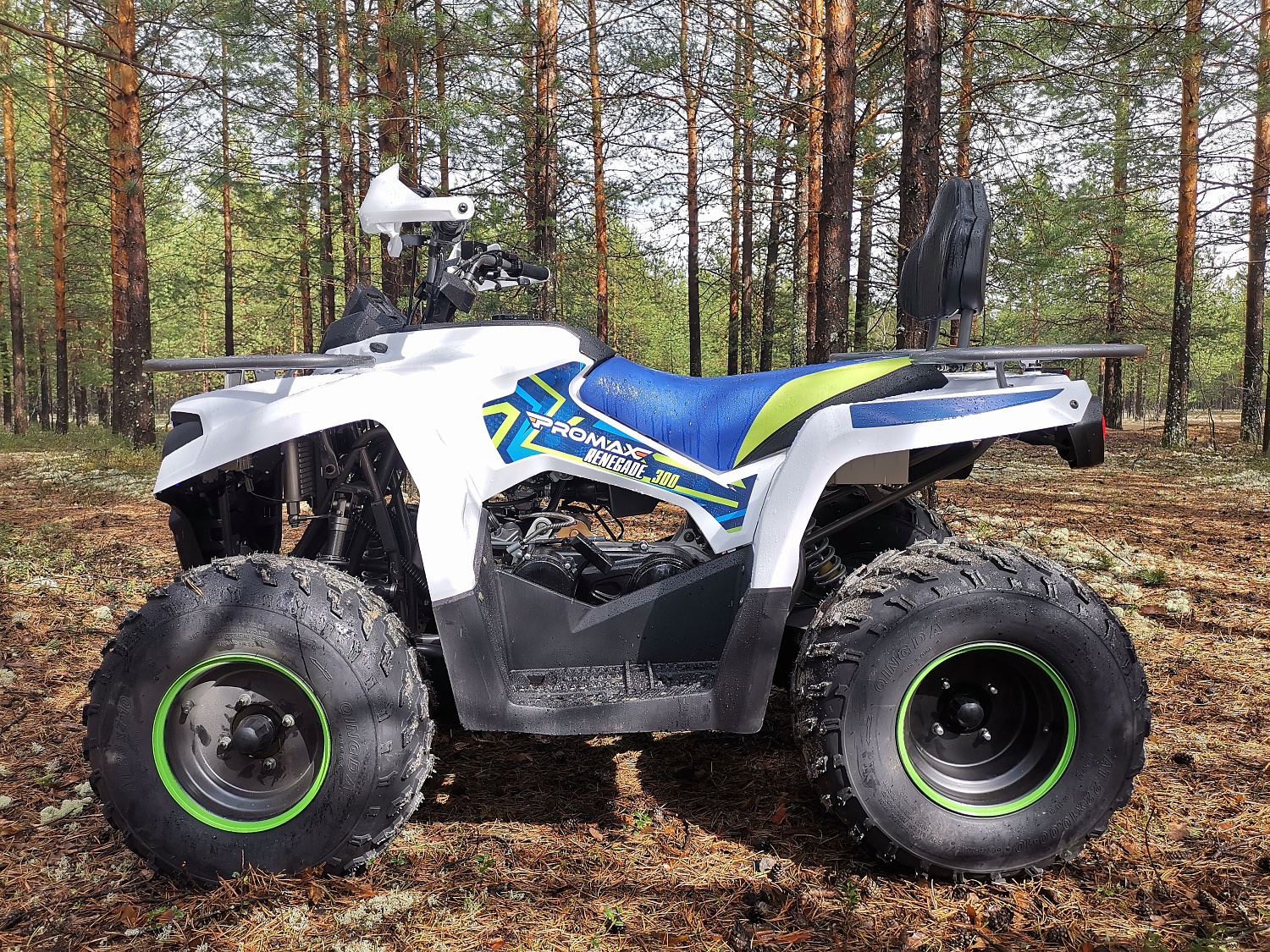 Квадроцикл PROMAX RENEGADE 280 (2025) в Ногинске