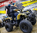 Квадроцикл PROMAX ATV 250 (2025) в Ногинске